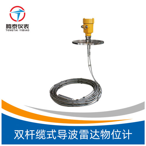 雙桿纜式導(dǎo)波雷達物位計